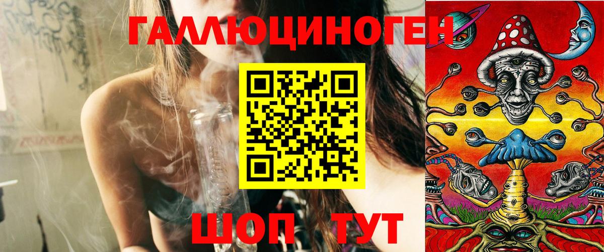 Курчатов  Псилоцибиновые грибы GOLDEN TEACHER  Вход с VPN 